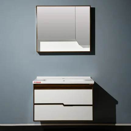 Model Number-Article P020